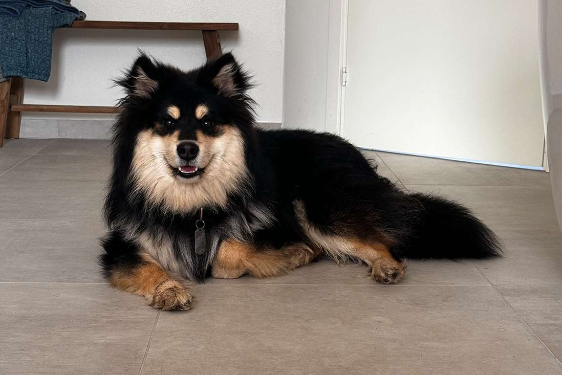 ivan